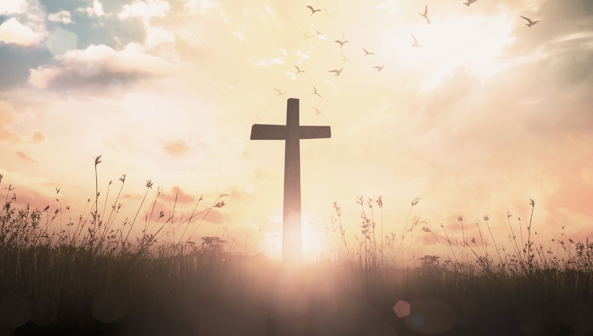 Qué Evangelio corresponde al 1 de junio de 2025
