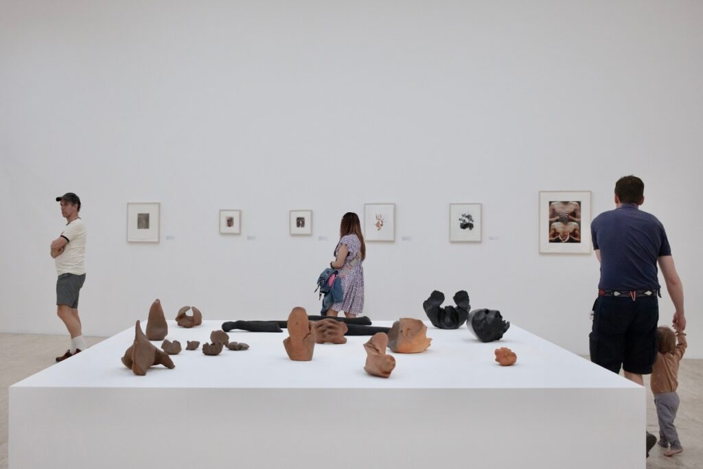 De qué es la exposición de Gabriel Orozco: Politécnico Nacional