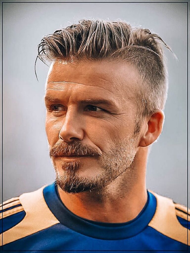 barba van dyke