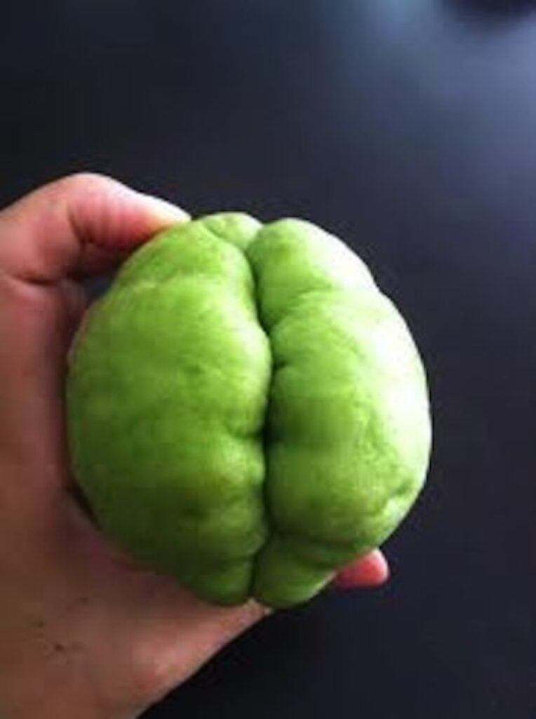 El chayote elimina los vellos