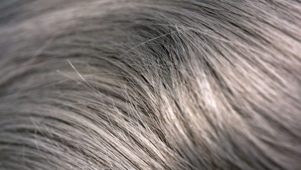 cómo cuidar el cabello con canas