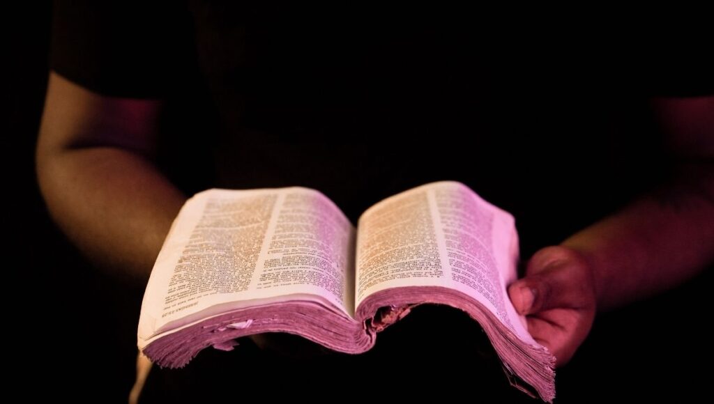 Evangelio, salmos y lecturas del 12 de mayo