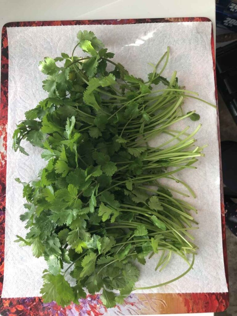Cuáles son las plantas aromáticas