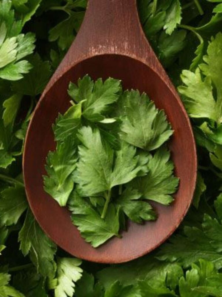 Plantas que se pueden cocinar
