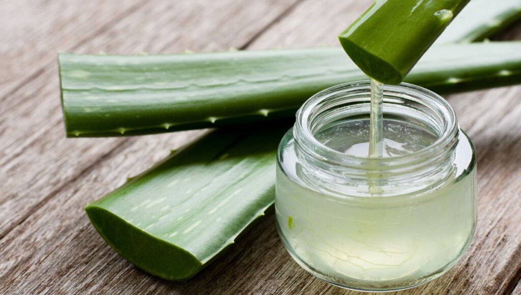 Las plantas medicinales que se encuentran en México