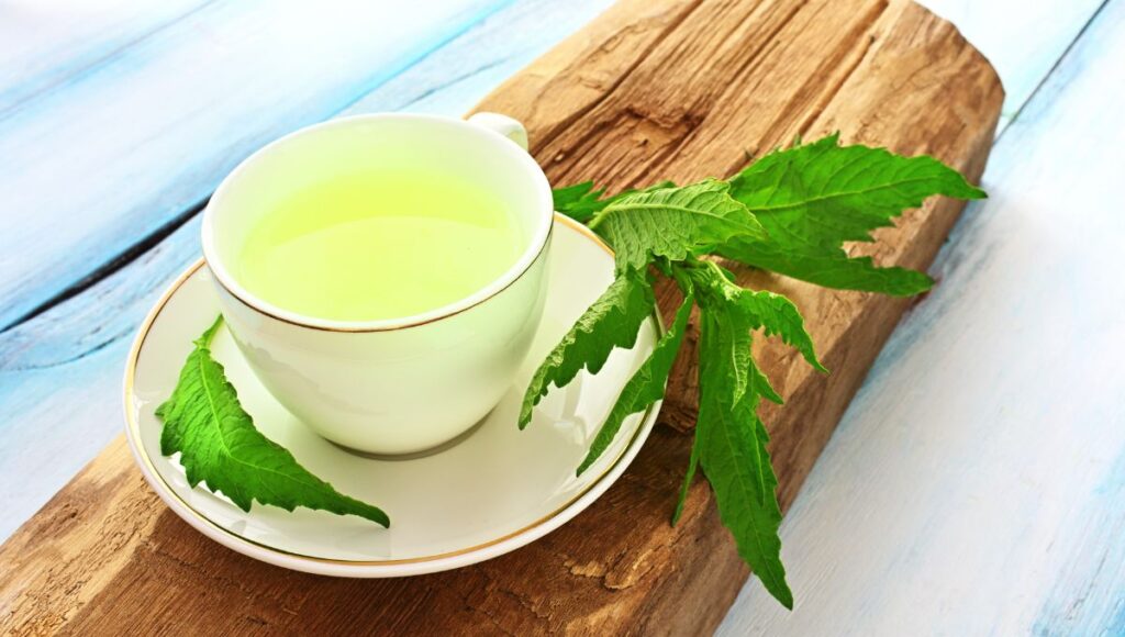Que plantas medicinales son buenas para la salud