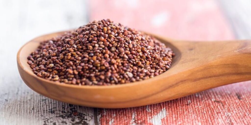 Qué tan saludable es la quinoa roja