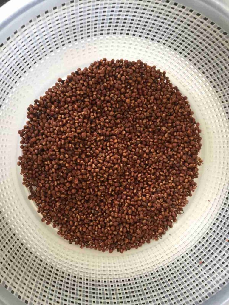 Cuánto tiempo hay que cocer la quinoa roja