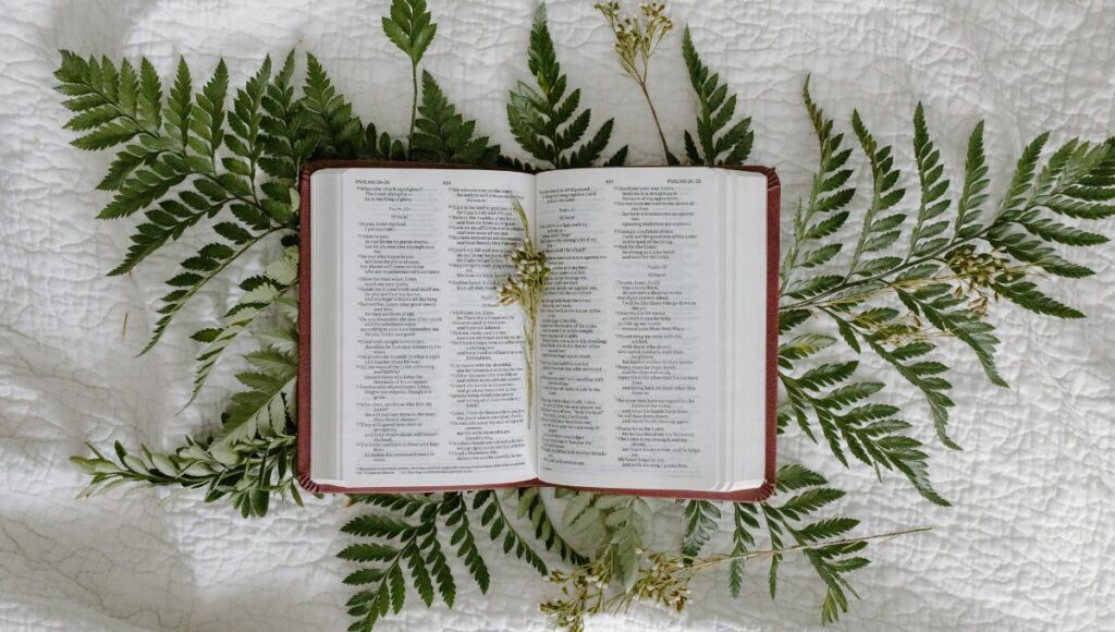 salmos pertenecientes a reina valera