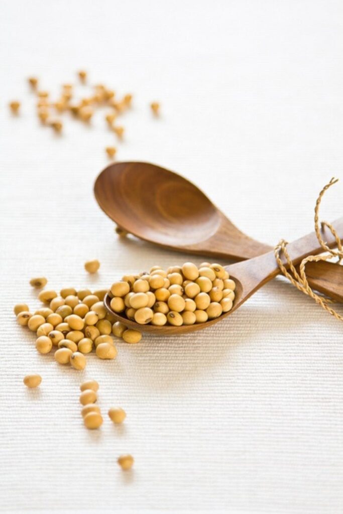 Qué beneficios tiene la soya en la mujer
