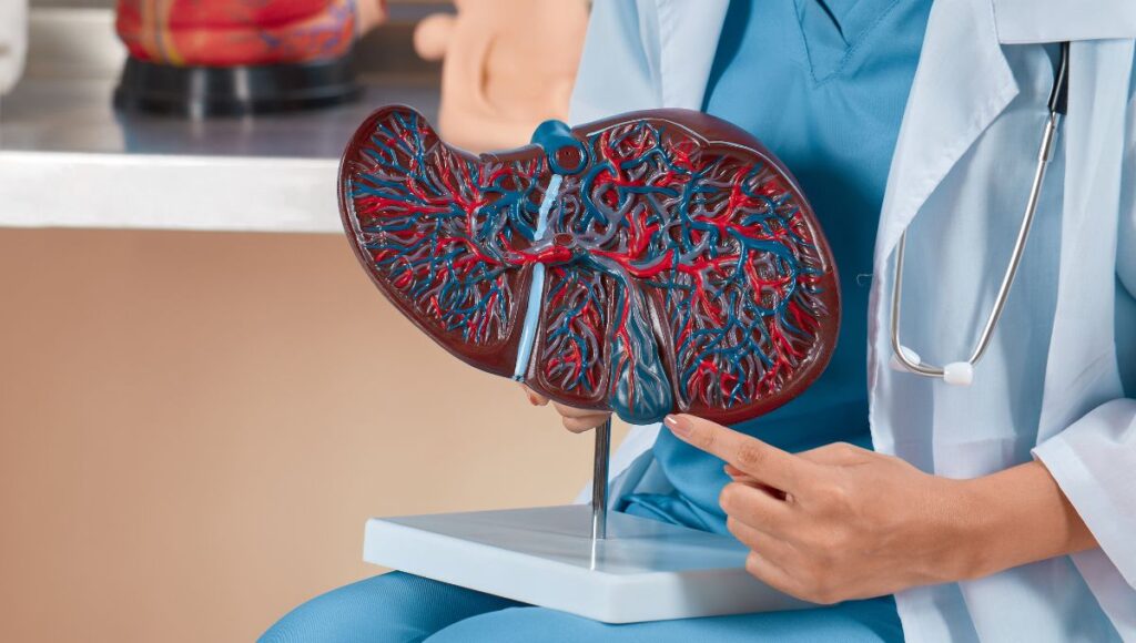 tips para cuidar la salud del hígado