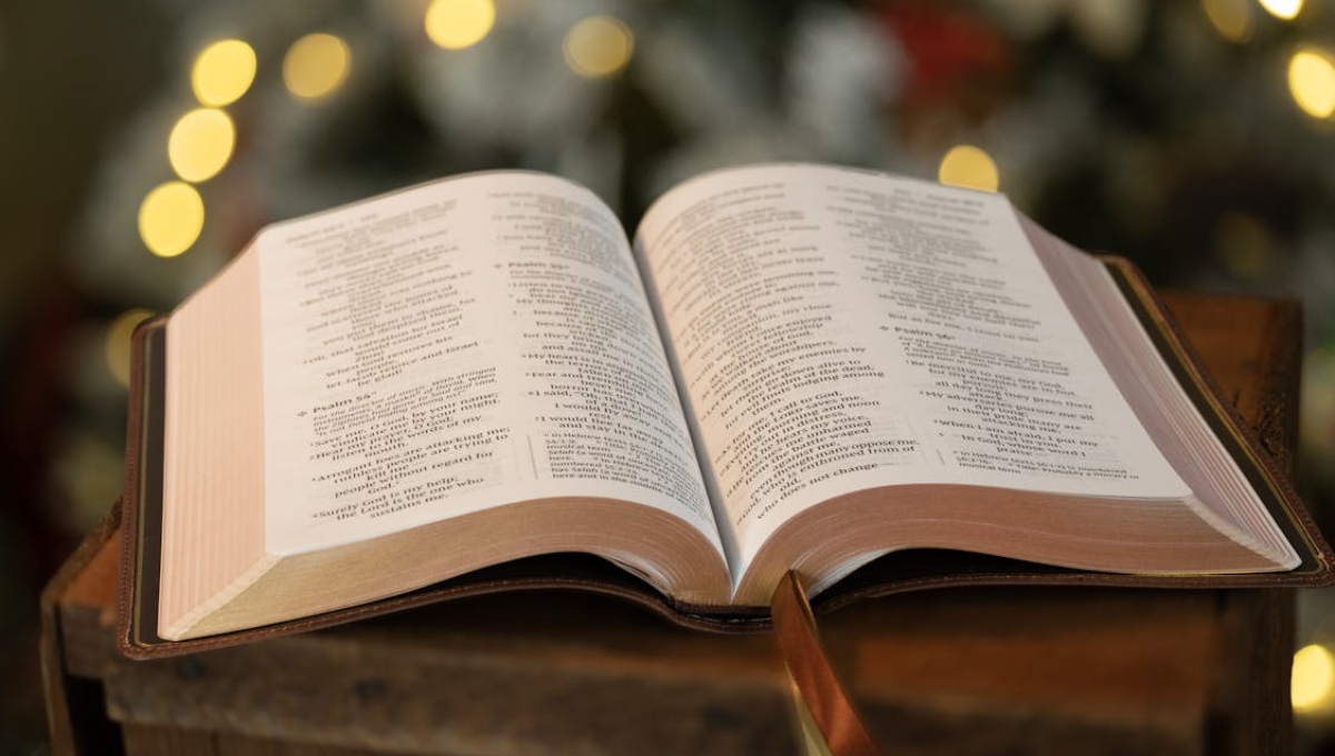 versículos de la biblia del amor propio
