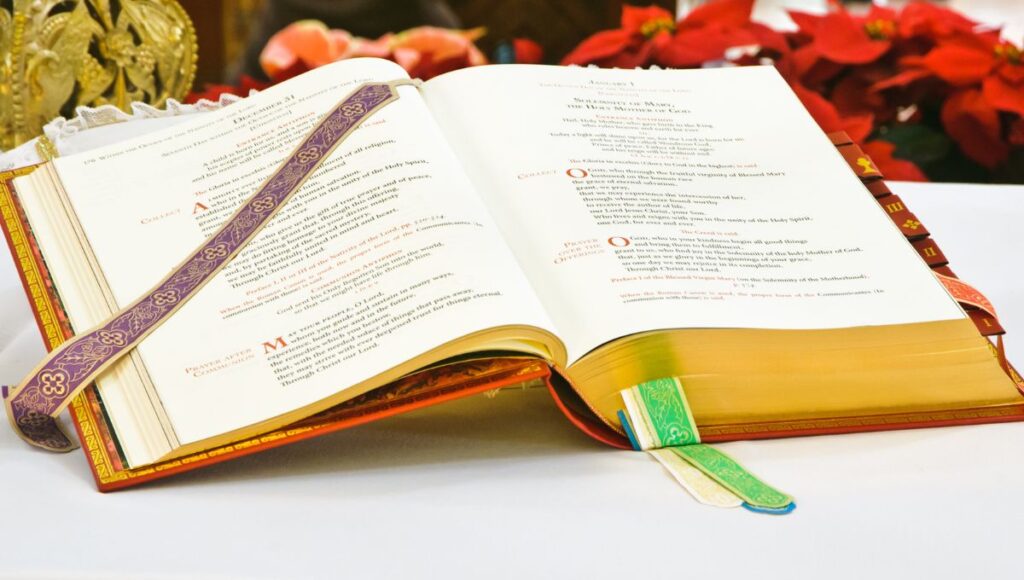 Las lecturas y el salmo del Evangelio del viernes 27 de junio