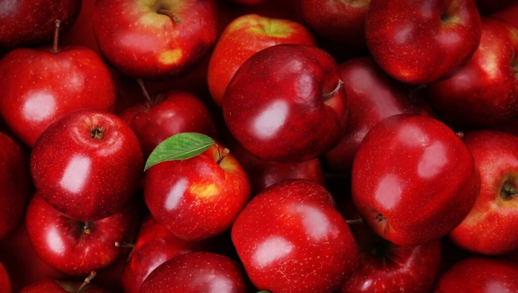 Alimentos con más fibra para la digestión
