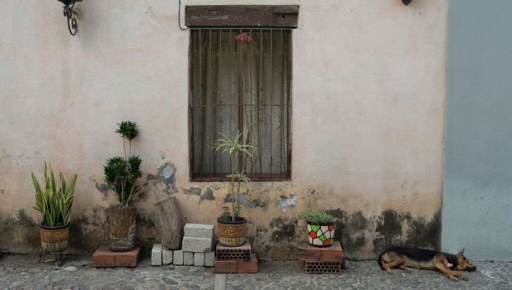 Cómo registrarte al programa vivienda para el bienestar