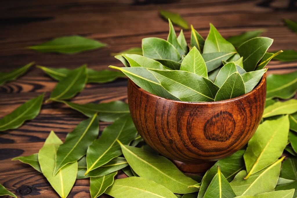 Prevén las enfermedades provocadas por las lluvias con una infusión de plantas medicinales que fortalecerá tu salud y aliviará los síntomas. 
