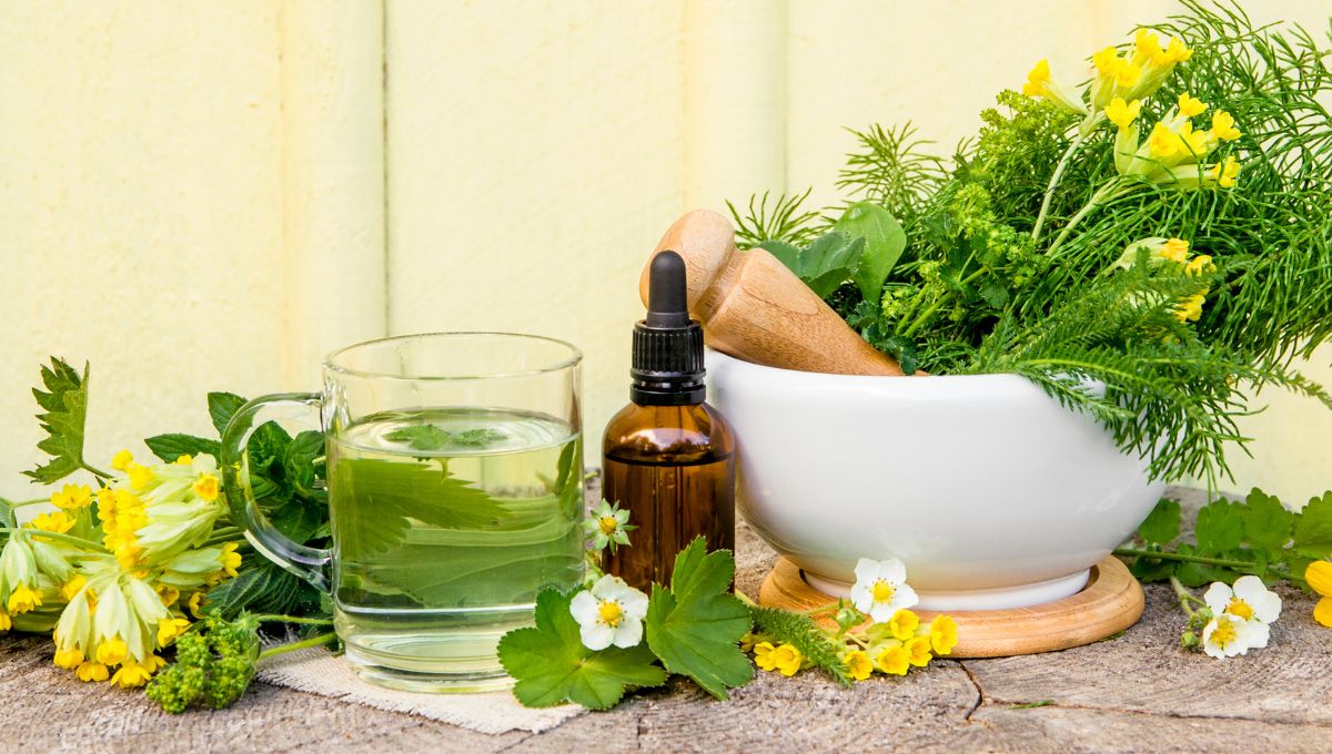 que plantas medicinales son buenas para las enfermedades respiratorias