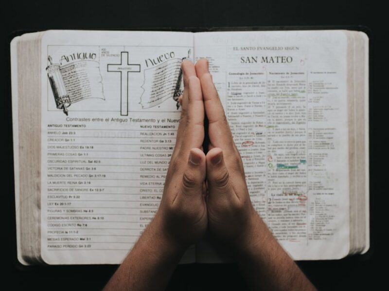 Cuál es el evangelio de hoy 16 de julio de 2025