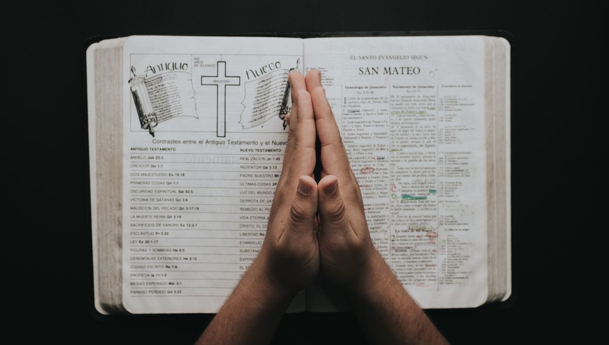 Cuál es el evangelio de hoy 16 de julio de 2025