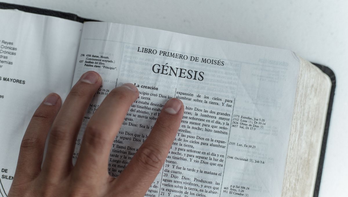 Las lecturas y el salmo del Evangelio de hoy 17 de julio de 2025