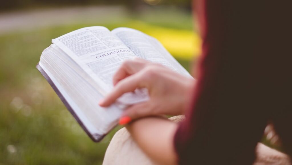 Las lecturas y el salmo del Evangelio de hoy 17 de julio de 2025