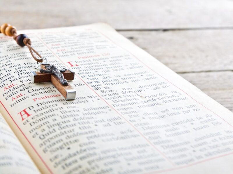 Las lecturas y el salmo del evangelio de hoy 24 de julio
