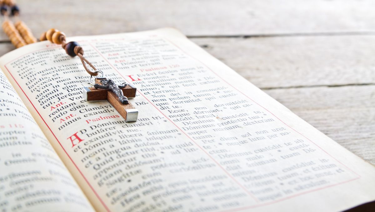 Las lecturas y el salmo del evangelio de hoy 24 de julio