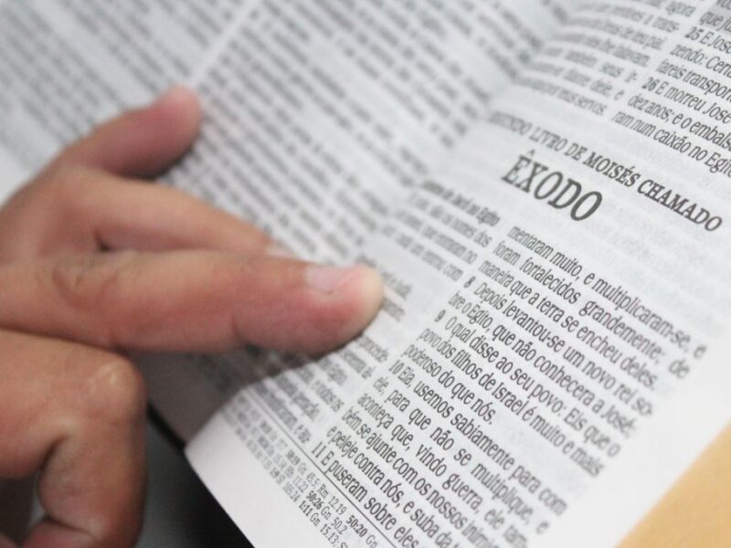 Las lecturas y el salmo del Evangelio de hoy 26 de julio 2025