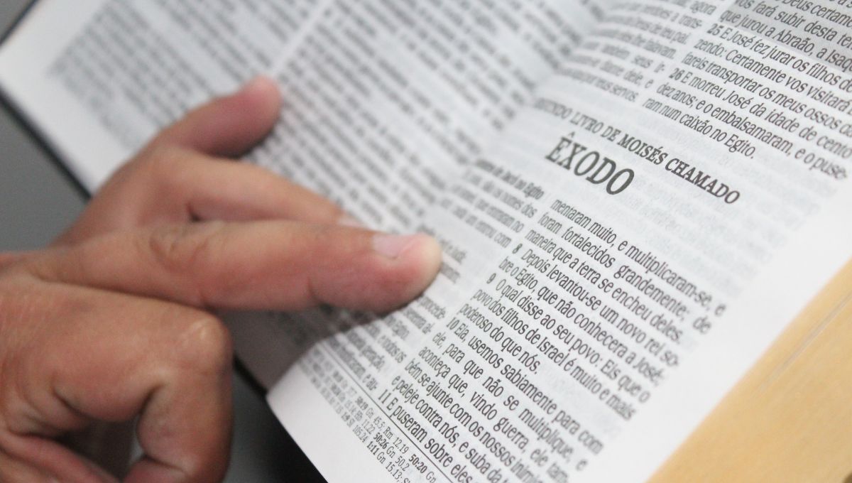 Las lecturas y el salmo del Evangelio de hoy 26 de julio 2025