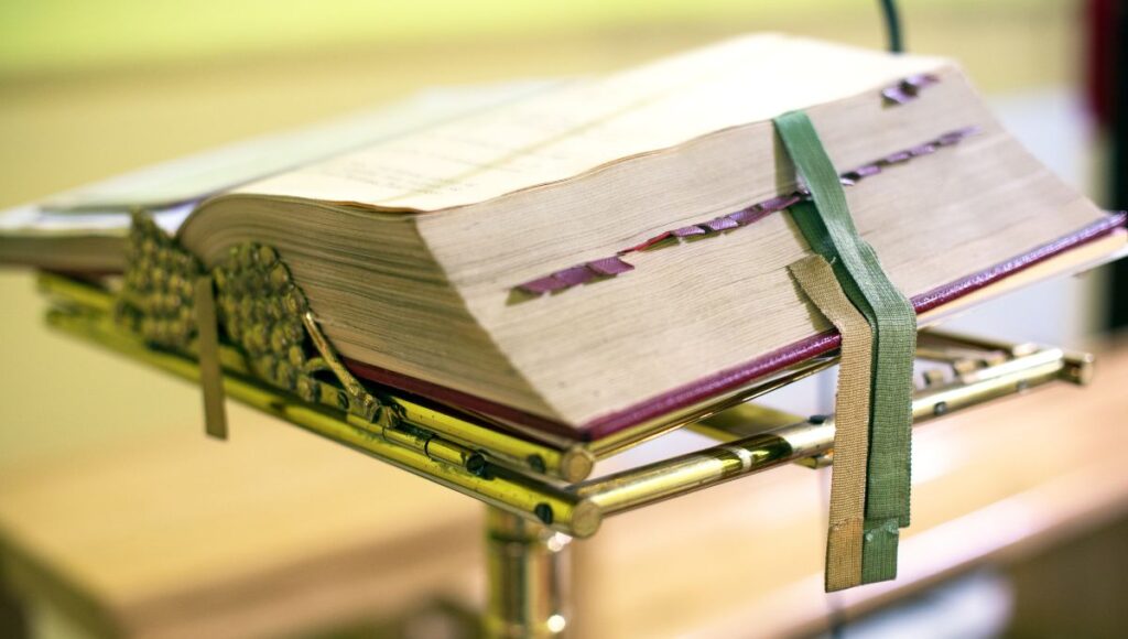 Las lecturas y el salmo del Evangelio de hoy 3 de julio de 2025