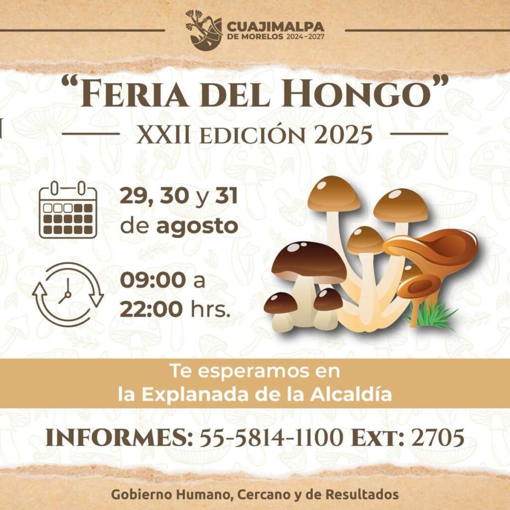 Qué es la Feria del Hongo