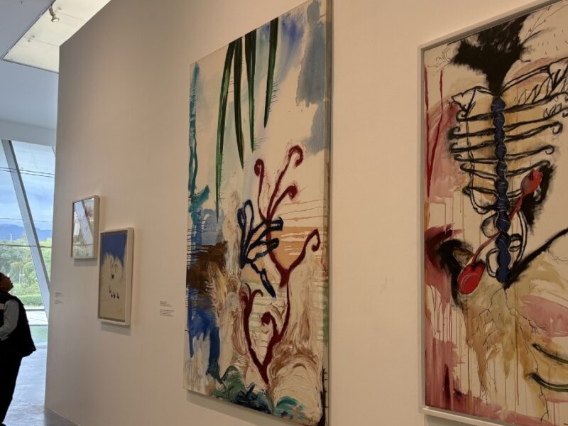 visita la expo de magali lara cinco décadas en espiral