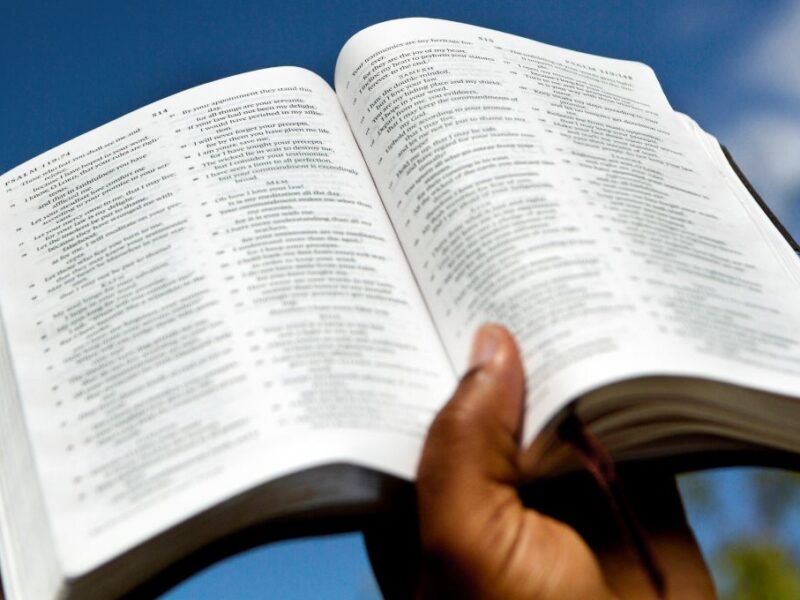Las lecturas y el salmo del Evangelio de hoy 23 de julio
