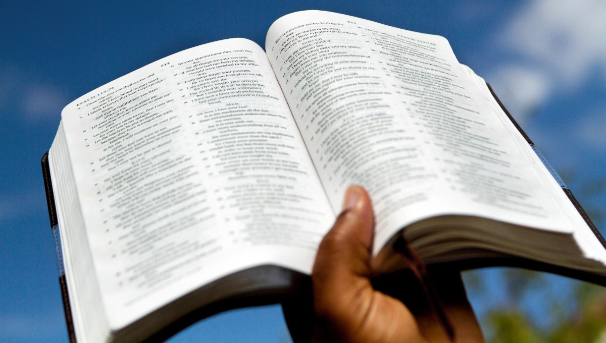 Las lecturas y el salmo del Evangelio de hoy 23 de julio