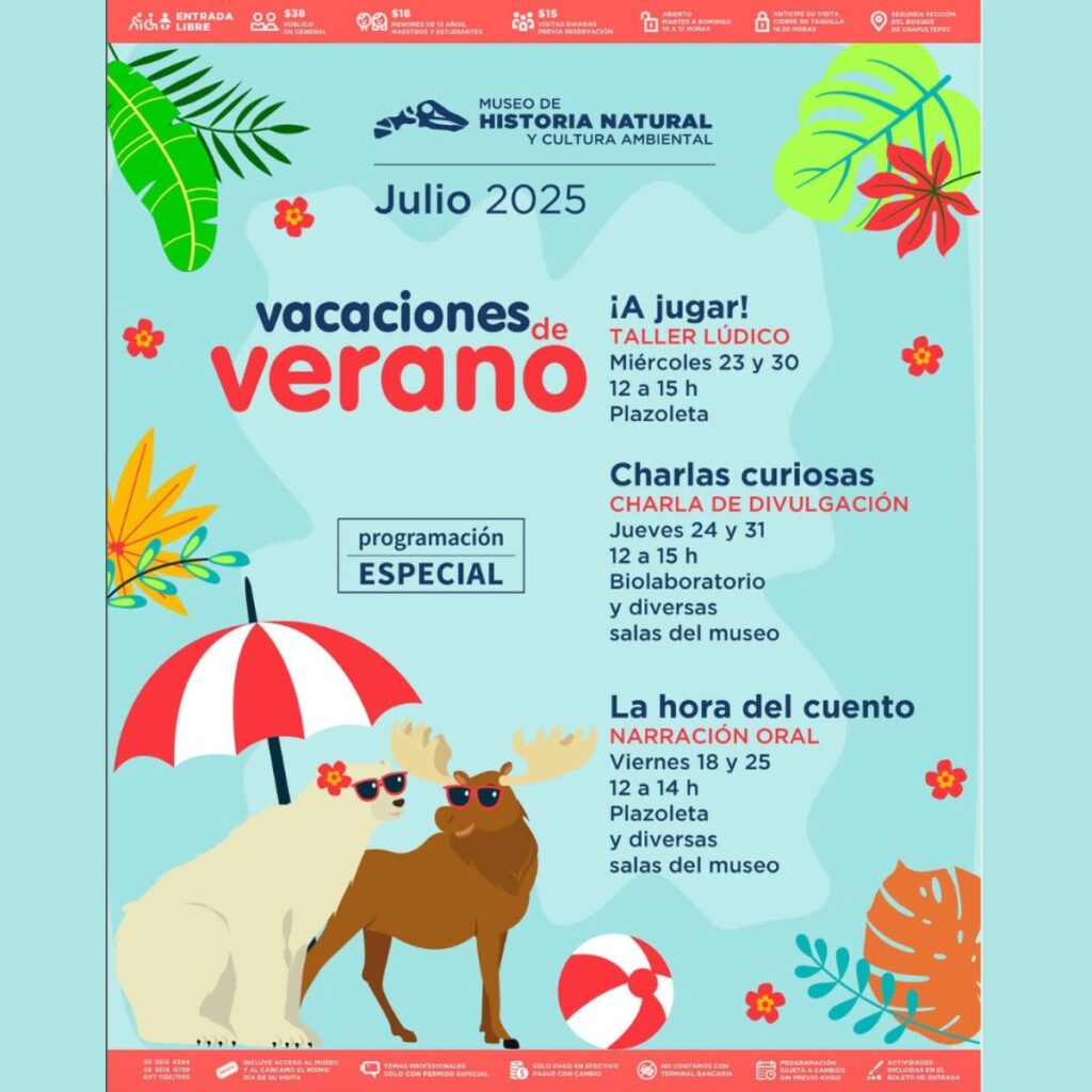 Las actividades especiales en el Museo de Historia Natural por las vacaciones de verano