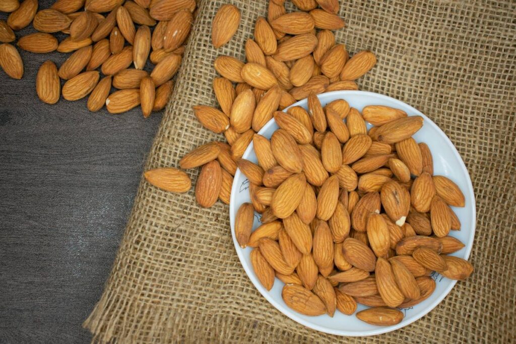 qué comer para sustituir la proteína