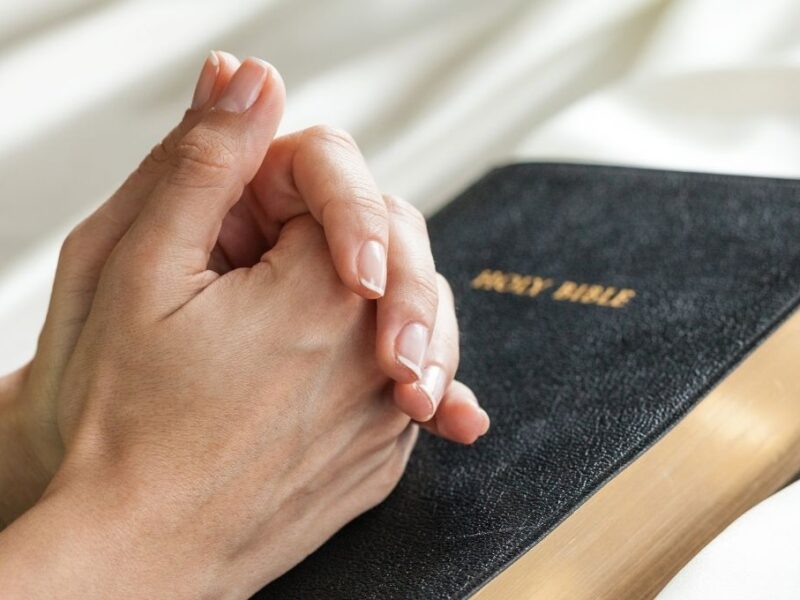 Cuál es el evangelio completo de hoy lunes 14 de julio