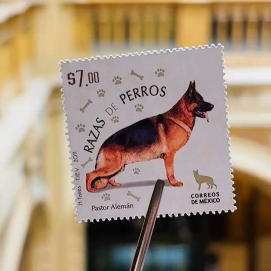 coleccion de sellos postales sobre animales 
