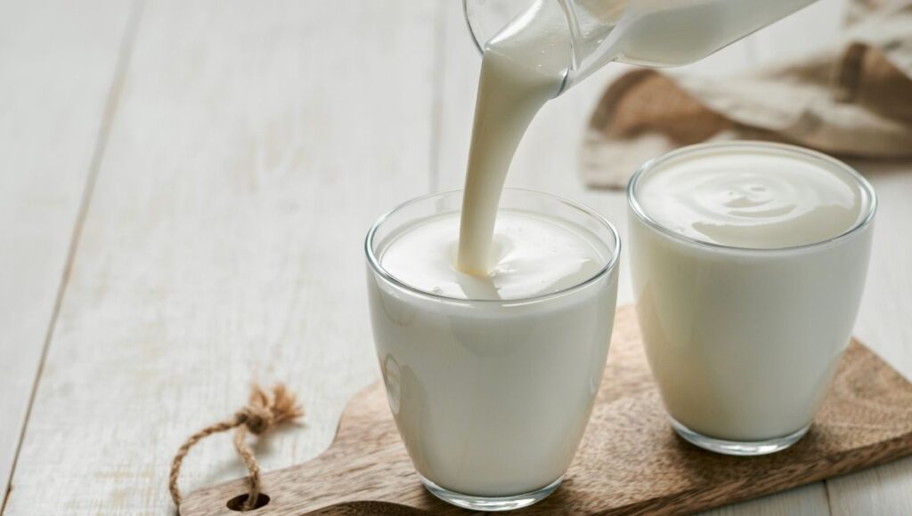 Para qué enfermedades son los búlgaros de leche