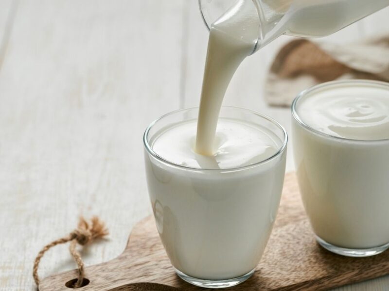 Para qué enfermedades son los búlgaros de leche