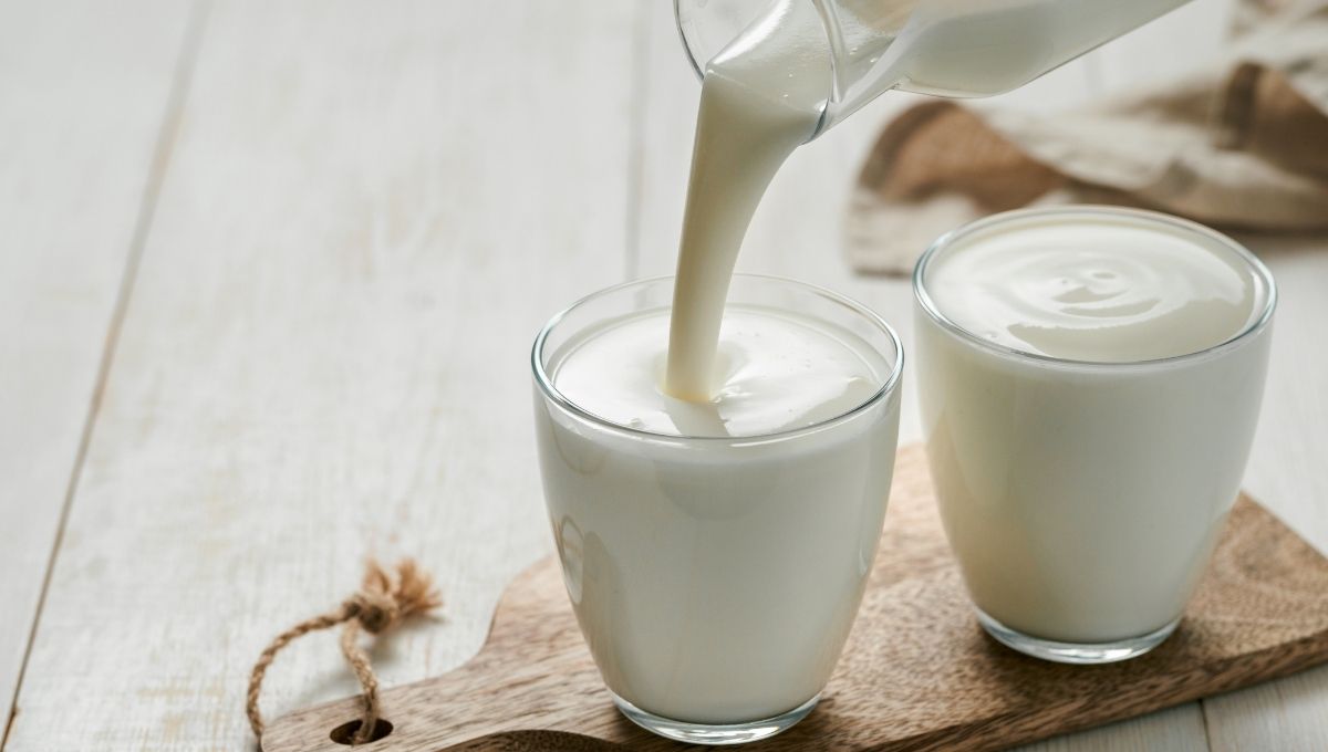 Para qué enfermedades son los búlgaros de leche