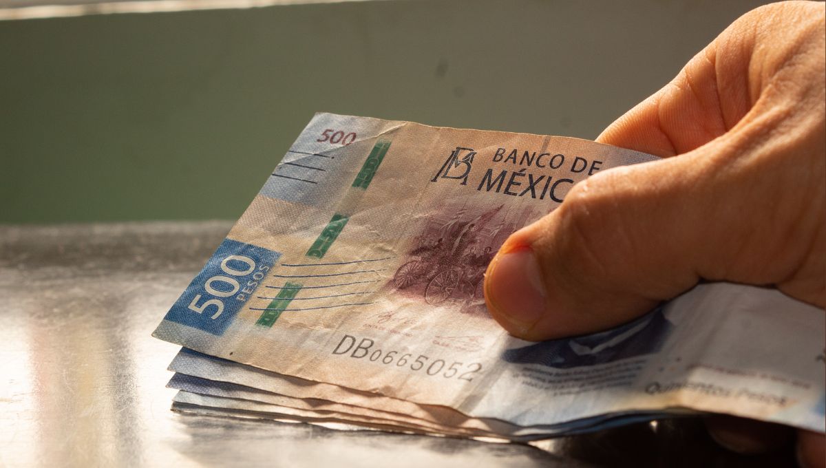 Cuáles son las Pensiones Bienestar