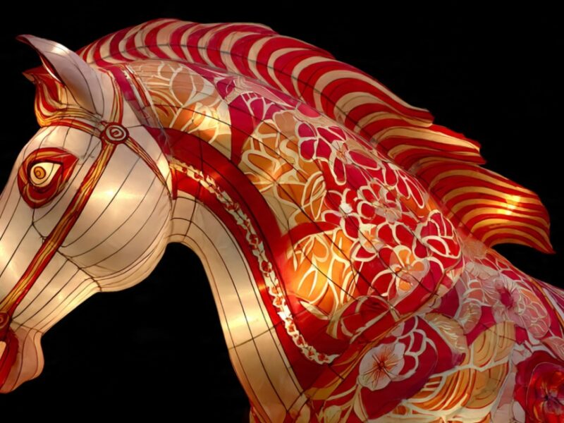 Frases para usar en el Año Nuevo Chino 2026