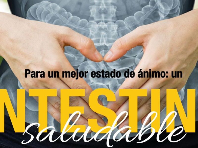 intestino saludable mente saludable
